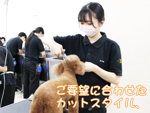 ２年生のトリミング実習♪